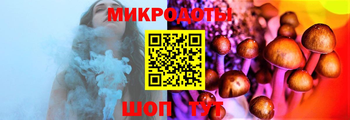 Псилоцибиновые грибы GOLDEN TEACHER Кстово